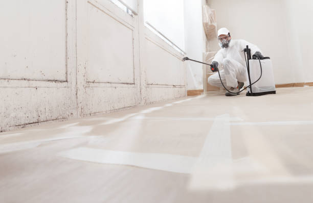 24/7 Emergency Mold Remediation experts in Barrington, NJ