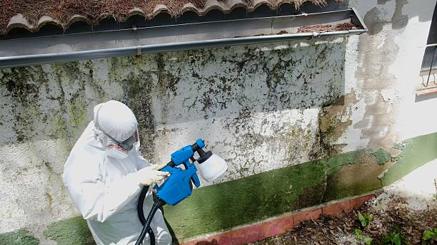 Top rated local Mold Remediation specialists in Barrington, NJ